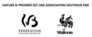 bannière soutien RW+FWB (002)