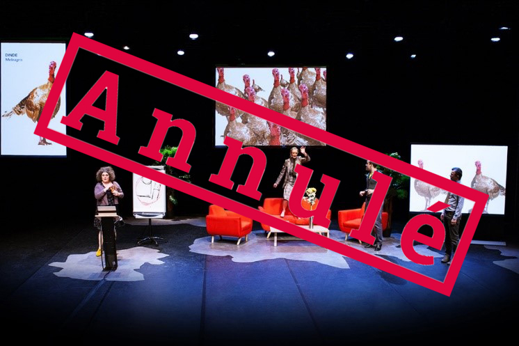 Borderline investigation annulé