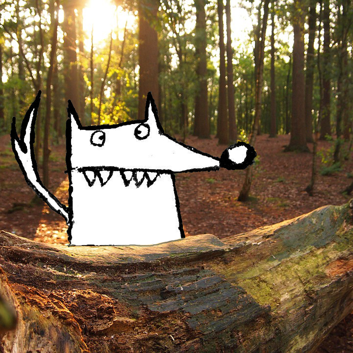 Cette image a un attribut alt vide ; le nom du fichier est loup-cache.jpg