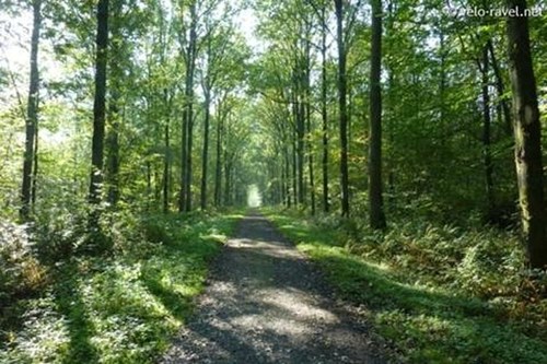 Cette image a un attribut alt vide ; le nom du fichier est 107230177_2922276167842135_5089182107731944277_n.jpg